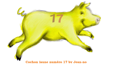 [cochon jaune 17]